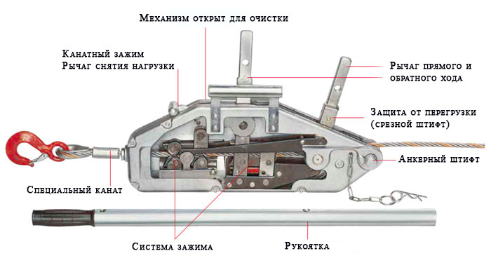 shema-mtm